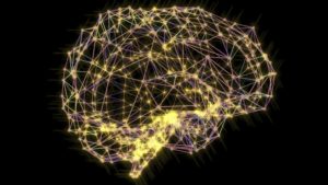 Success Mindset: Neuroscience Tells Us How to Hack Our Brains for Success