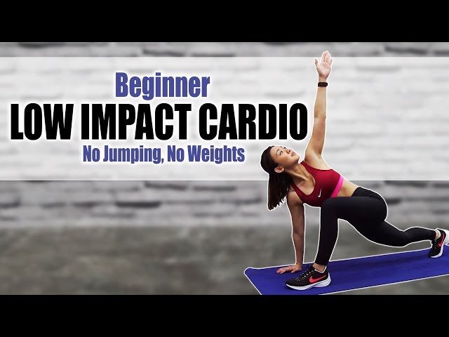 Beginner Overweight Cardio No Jumping Gentle On Knees Joanna Soh